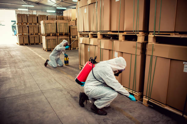 Best Flea Control Services  in Ridge Manor, FL